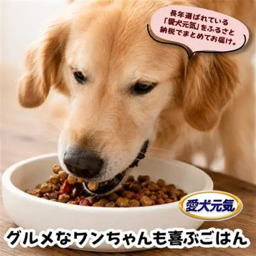 愛犬元気 パックン ビーフ ささみ 緑黄色野菜 小魚入り 2.5kg×4袋 ドッグフード 国産【1732785】