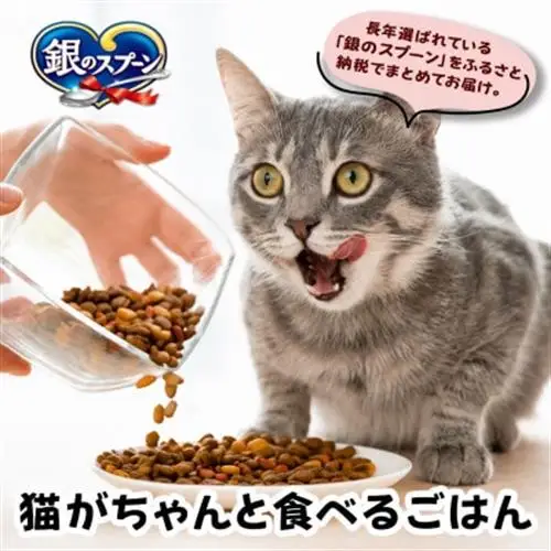 銀のスプーン 贅沢うまみ仕立て 下部尿路の健康維持用 1歳～10歳頃まで 1.1kg×6袋【1732804】