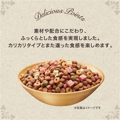グラン・デリ ビーフ 鶏ささみ 緑黄色野菜 チーズ 1.7kg×4袋 ドッグフード 国産【1732806】