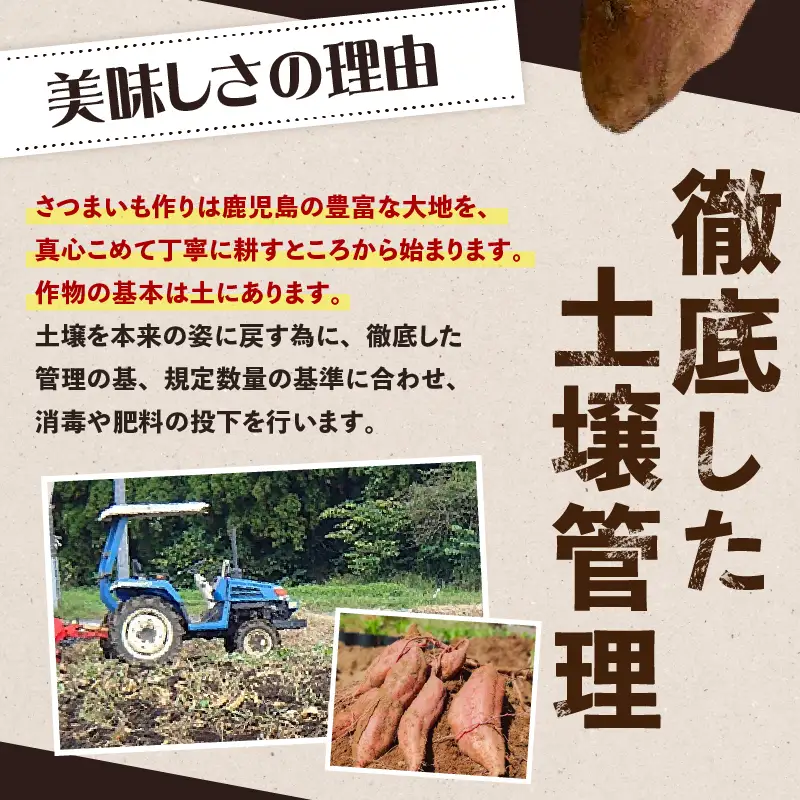 焼き芋 さつまいも 紅はるか 生芋  2kg 【畑の金貨】 K181-004