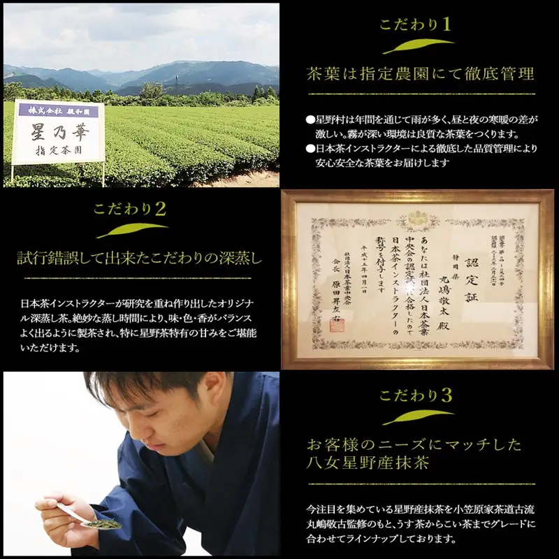 八女星野玉露ティーバッグ（50パック）【A5-251】