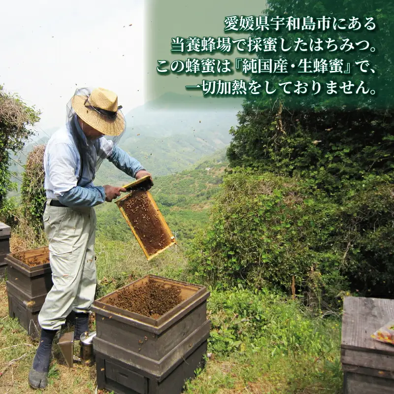 百花蜜 1kg ギフト箱入 元気や 非加熱 はちみつ 国産はちみつ 百花蜂蜜 純粋はちみつ 生はちみつ 生蜂蜜 蜂蜜 ハニー ギフト プレゼント 贈答用 数量限定 産地直送 国産 愛媛 宇和島 F023-176002