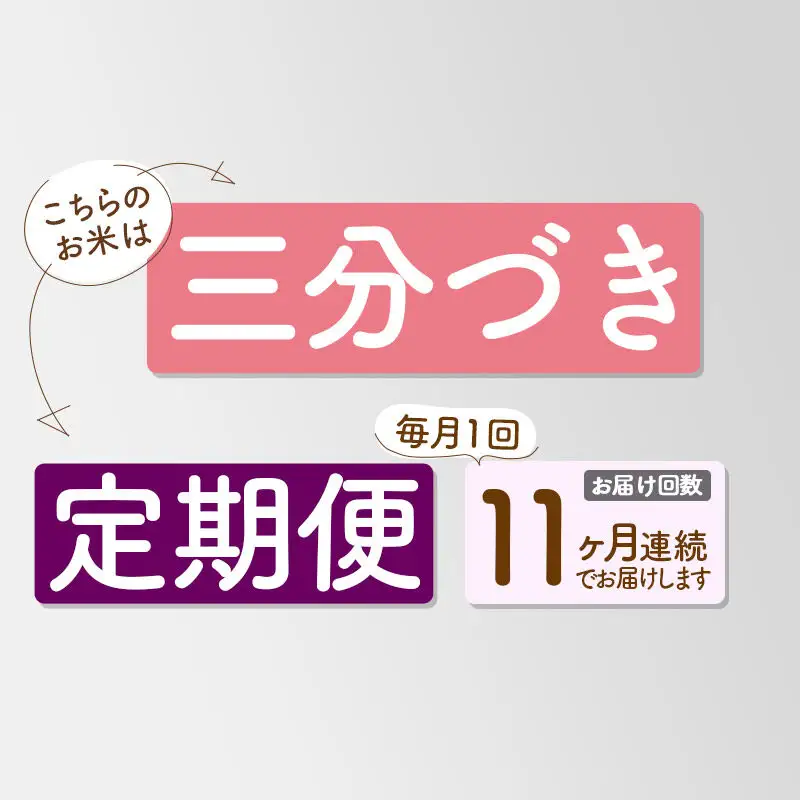 《定期便11ヶ月》【3分搗き】あきたこまち 27kg 秋田県産 令和7年産 こまちライン