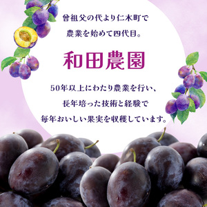 プルーンフルーツ 9月発送 北海道産 プルーン【800g(400g×2)】