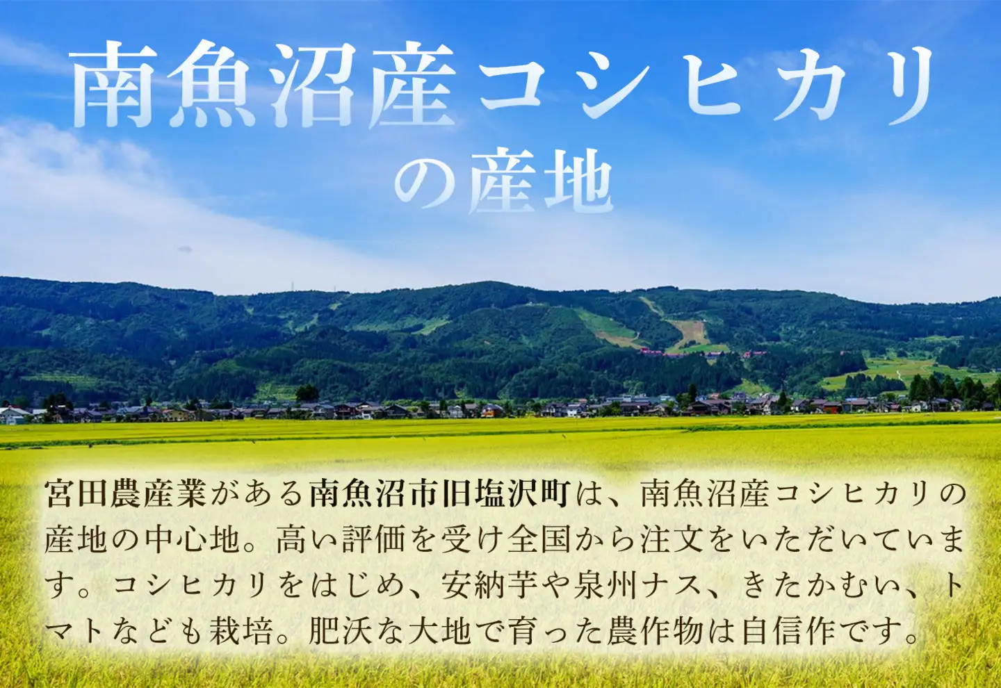 【令和7年産】【定期便3ヶ月】南魚沼産こしひかり　みやた米5kg【定期便 銘柄米 ブランド米 精米 こしひかり コシヒカリ 魚沼産 新潟米 産地直送 お米 米 こめ コメ ご飯 御飯 ごはん】