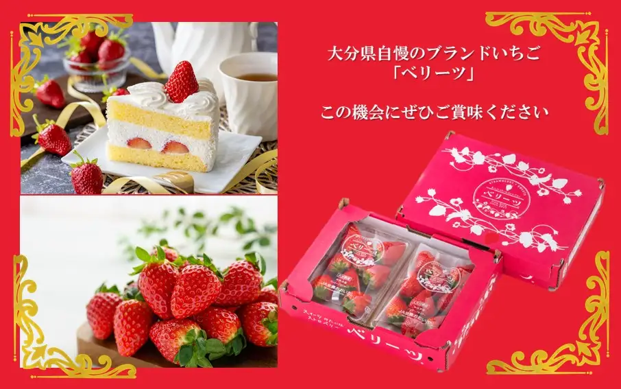 大分県ブランドいちご/スイーツみたいな「ベリーツ」540g（270g×2P）_2338R