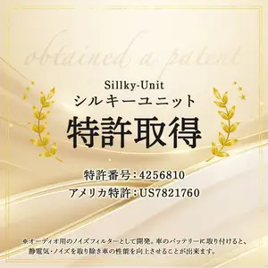 シルキーユニット　スタンダード / ノイズフィルター 車 自動車 / 諫早市 / オーディオ・ラボ有限会社 [AHDF002] 