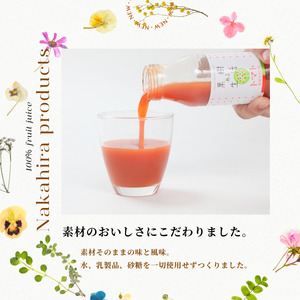 国産果汁100％ジュース 健康ギフト（180ml×10本）［NH02］// 長野県 南信州 ストレートジュース 無加糖 無塩 香料不使用 着色料不使用 保存料不使用 天皇杯 農水大臣賞 