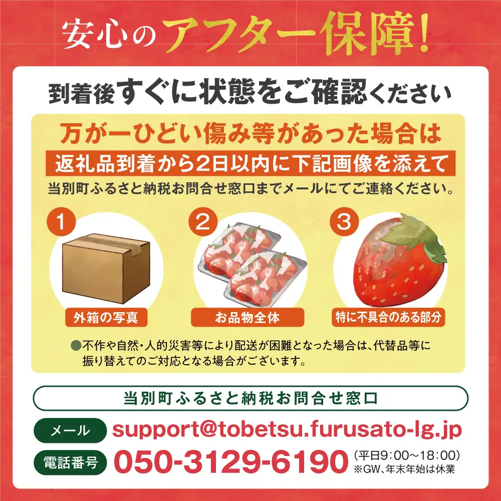 【2027年度産先行受付】当別町産べんけべつのいちご（けんたろう）4パック｜イチゴ いちご べんけべつのいちご 道産子イチゴ