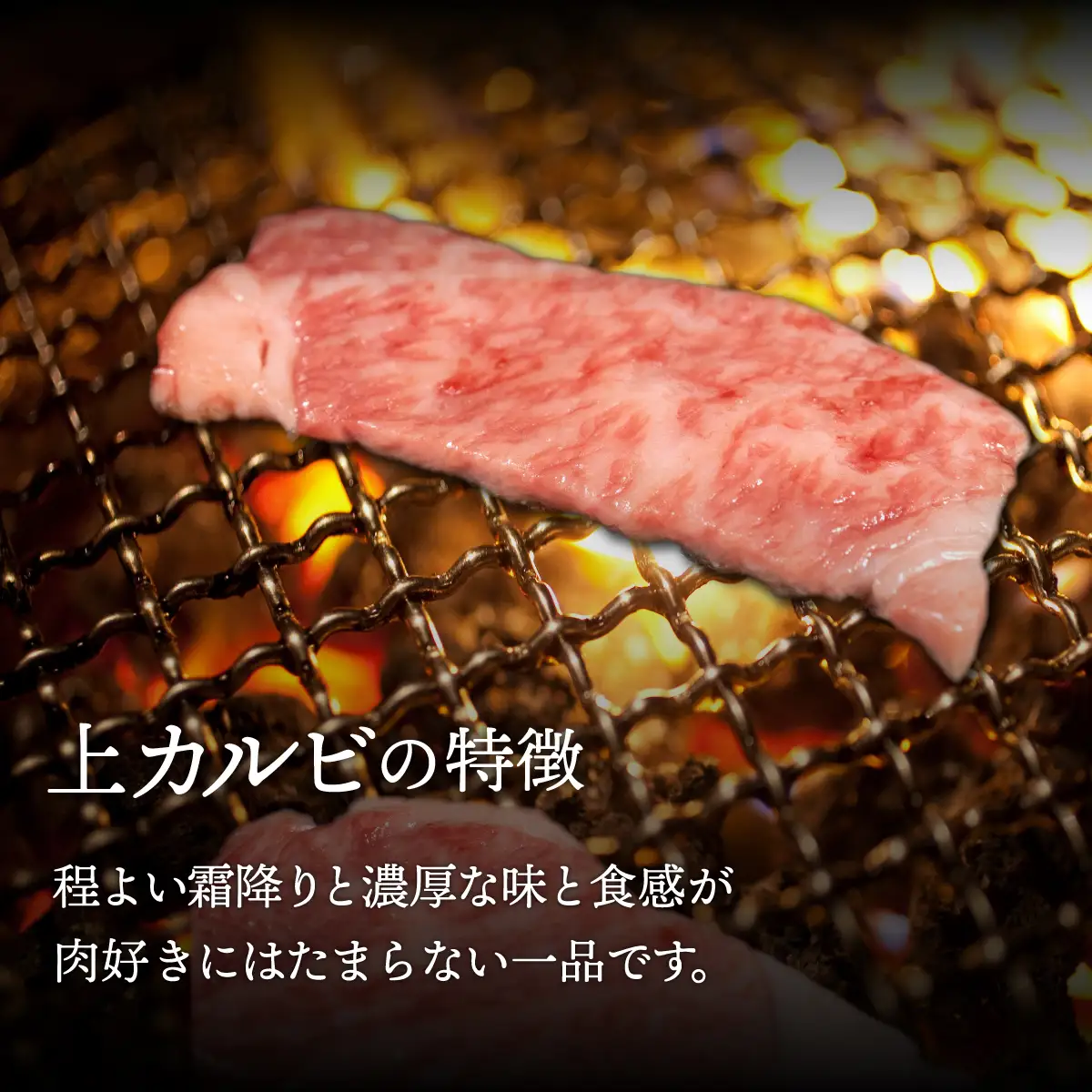 【A4/A5ランク黒毛和牛】びらとり和牛上カルビ焼500ｇ BRTB018