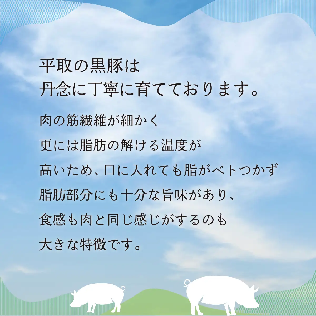 【平取町産じゃんけんぽん特製】びらとり黒豚焼肉用肉120ｇ×2枚×2セット BRTF006