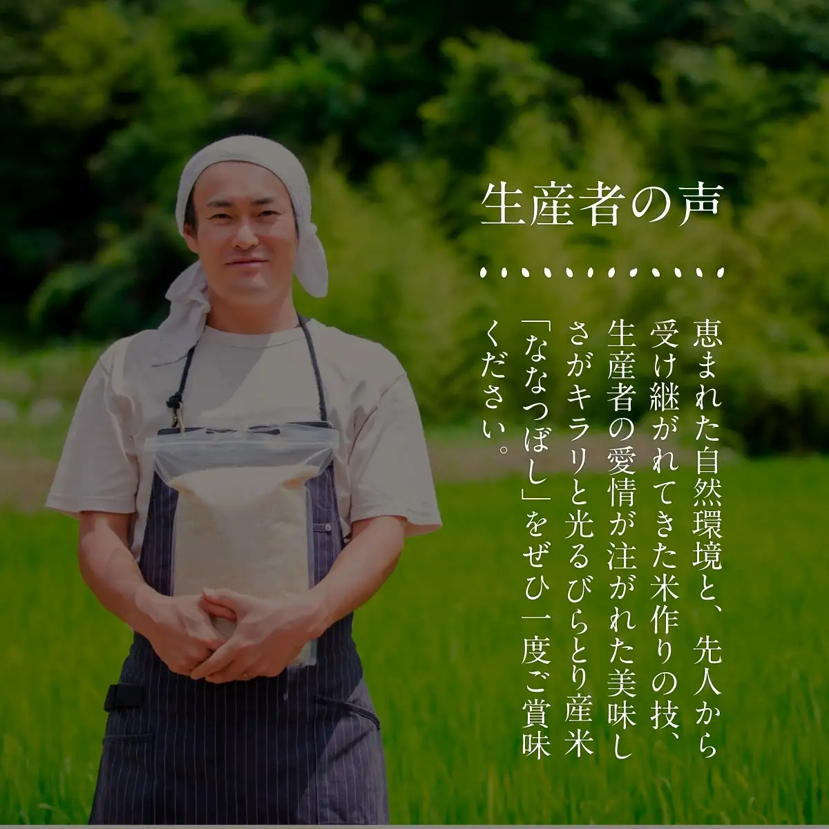 【令和7年産新米】北海道で１番人気！「ニシパの恋人」ななつぼし10kg（10kg×1） BRTH014