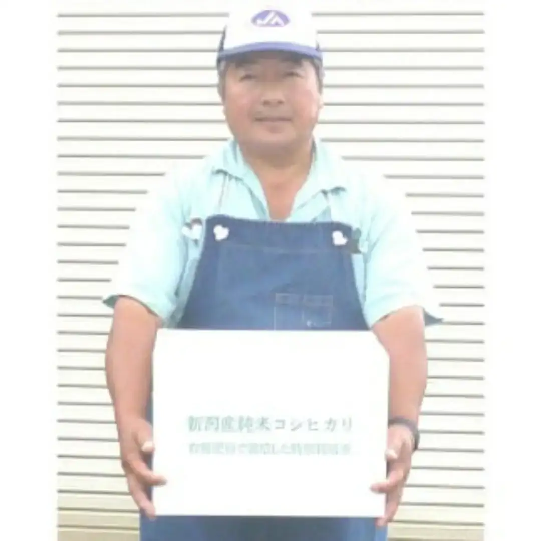 特別栽培米 コシヒカリ 白米 5kg 新潟県産 令和7年産 [佐藤農産有機センター]【010S444】