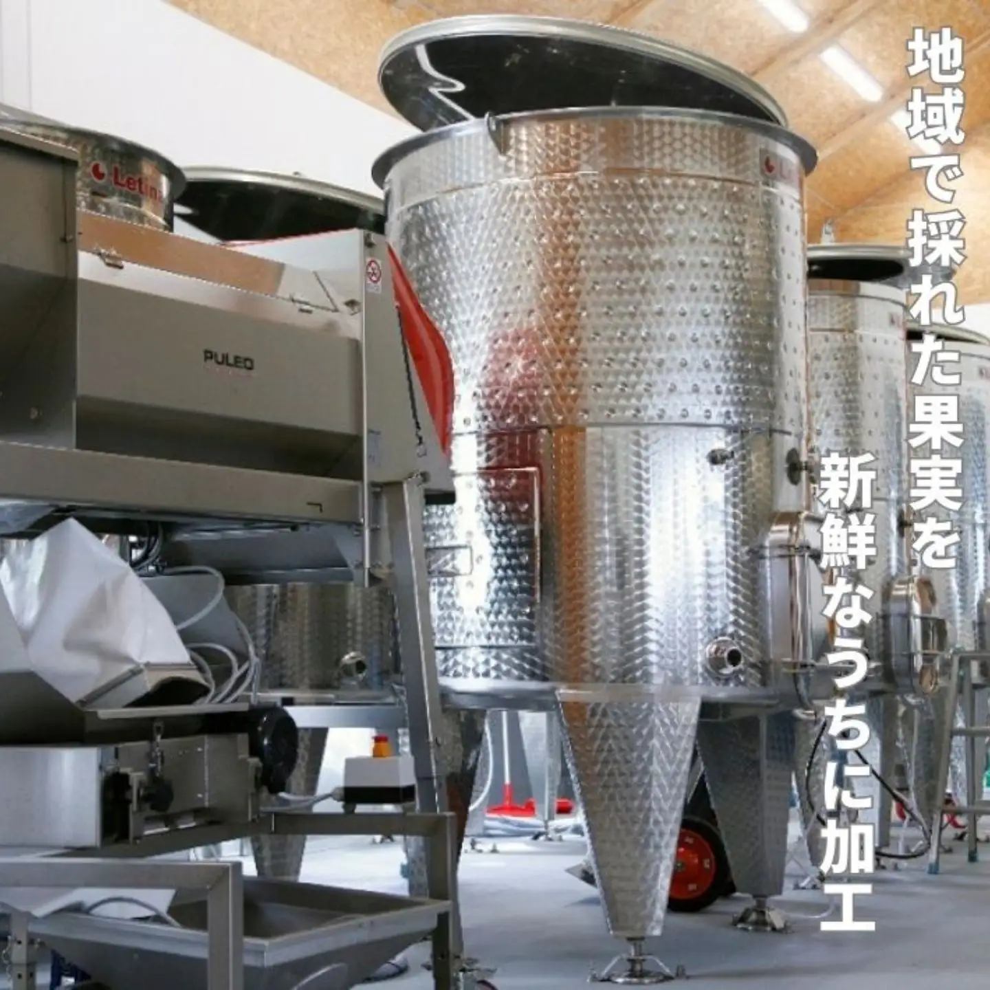 MW15 信州産 フルーツジュースセット（ふじ／桃／洋梨 500ml×3本）// 長野県 南信州 国産 ストレートジュース フジ  もも ピーチ 洋なし りんご リンゴ 果汁100％ 保存料不使用