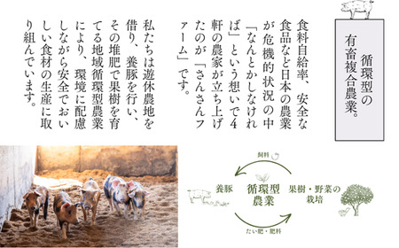 SF06　さんさん豚3回お届けコース ／（翌月より3ヶ月）// 長野県産豚肉 南信州 ポーク ステーキ バークシャー種 薄切り 味噌漬け 安全 安心 定期便 毎月届く 贈答 ギフト