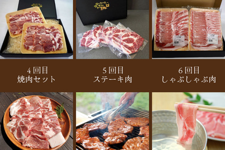 SF07　さんさん豚6回お届けコース／（翌月より6ヶ月）// 長野県産豚肉 南信州 ポーク ステーキ バークシャー種 薄切り 味噌漬け 安全 安心 定期便 毎月届く 贈答 ギフト