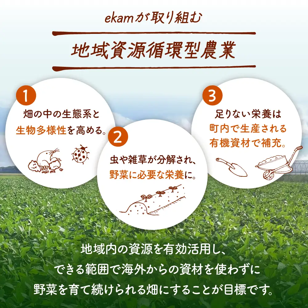 乾燥小粒青大豆（品種：黒神）900g【ekam】 大豆  [AXBV001]