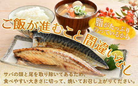 干物 鯖一夜干し 極うまサバ 半身6パック （塩味1枚×3パック 醤油みりん味1枚×3パック）鯖 サバ [m17-b016]