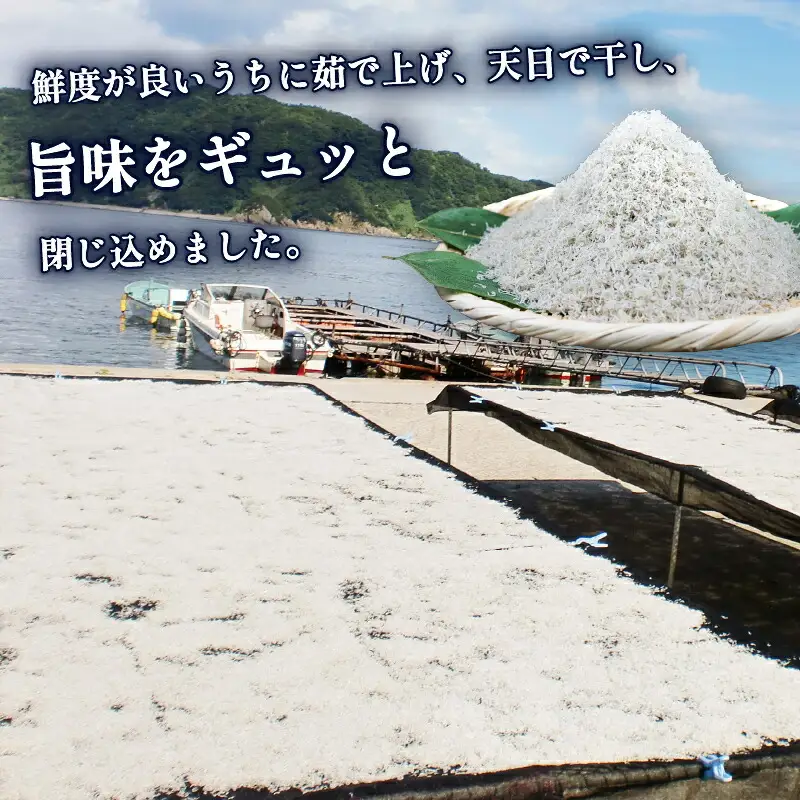 ちりめん 80g × 6袋 計 480g 時栄水産 しらす しらすしらす ちりめんちりめんちりめん D010-174002