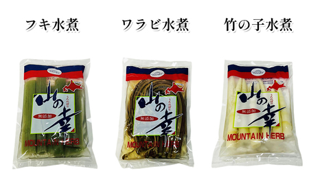 オホーツク枝幸 ご飯にも合う通好みの晩酌セット【 魚貝類 加工食品 野菜 山菜 タコ 北海道 オホーツク 枝幸 】