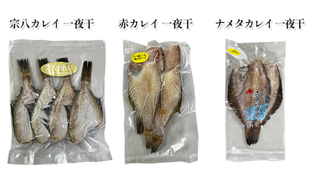 オホーツク枝幸 食卓おたすけ隊～焼き魚セット【 魚貝類 サーモン 鮭 干物 漬魚 味噌漬け 北海道 オホーツク 枝幸 】