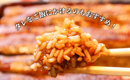 うなぎ 蒲焼 特大 2尾 約500g うなぎ
