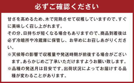 037-1054x2【先行予約】【3回定期便】 3種の梨 食べ比べ 定期便 約5kg×3回 合計 約15kg【2026年9月上旬～2026年12月上旬発送予定】