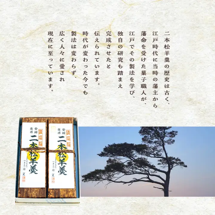 羊羹 二本松羊羹 440g×2本 羊羹 和菓子【株式会社菓子処日夏】
