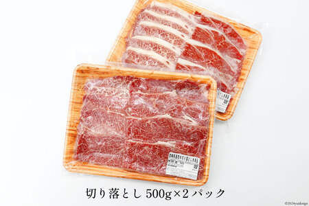 牛肉 訳あり 日本ハム 宮崎県産 和牛 切り落とし 500g 2p 計 1kg