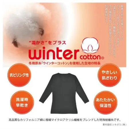 【ヨシダシャツ】【超極暖】メンズ Vネックインナー　ブラック・Lサイズ・2枚_装飾品・工芸品 男性・メンズ 洋服 _【1365096】