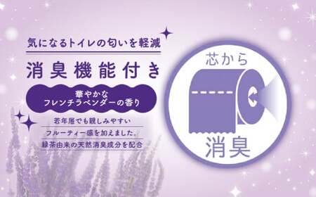 【 定期便 年 2 回 6 ヶ月毎 】 トイレットペーパー 12ロール ダブル ラベンダー 