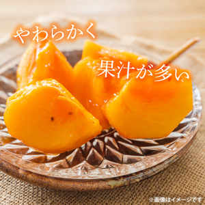【2026年10月下旬より順次発送】【数量限定】富有柿 2L 14玉【茨城県共通返礼品/石岡市】（IU-10）