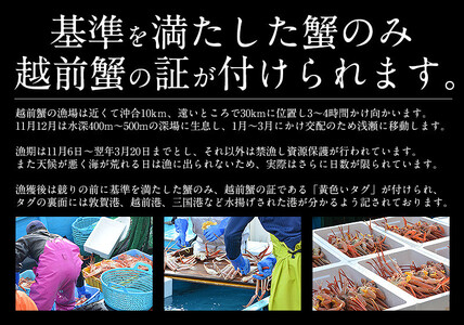 ズワイ甲羅盛り（1個）とセイコ蟹甲羅盛り（2個）セット[053-a034]