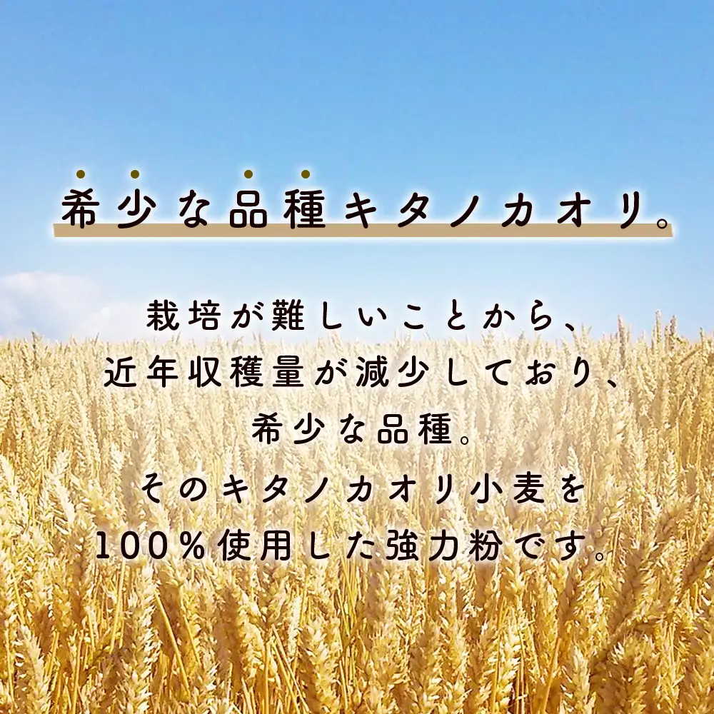 北海道 東神楽町産小麦粉で作る、クッキー手作りセットとひがしかぐらジャム2本（ハスカップ、ブルーベリー）