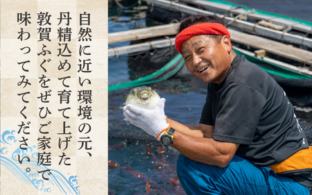 フグ 敦賀ふぐ鍋てっさセット（4～5人用）[041-f004]