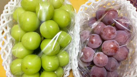 おまかせ！ ぶどう セット 5品種×各2房【2026年9月より発送開始】（茨城県共通返礼品 [ぶどう]：結城市産）