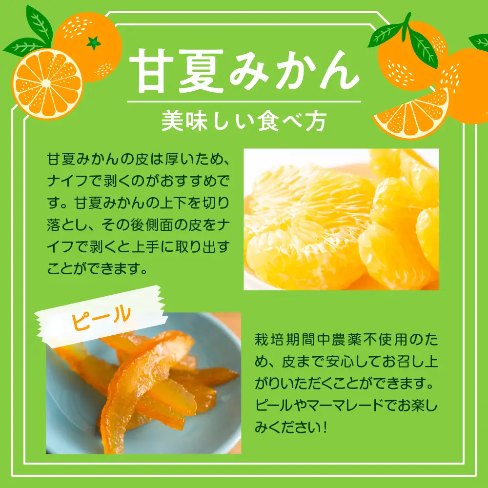 【先行受付】【2027年2月中旬～発送】栽培期間中無農薬 甘夏みかん 5kg　ミカン 蜜柑 あまなつ 果物 くだもの フルーツ 柑橘 送料無料 産地直送 お取り寄せ 広島県 呉市 ku044-009-26