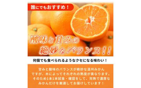 【先行予約】紀州有田産 濃厚完熟 温州みかん 5kg 【家庭用 訳あり】 ※2026年11月下旬～2027年1月下旬頃に順次発送予定/ みかん ミカン 蜜柑 温州みかん 柑橘 フルーツ 果物 くだもの 和歌山【uot003】
