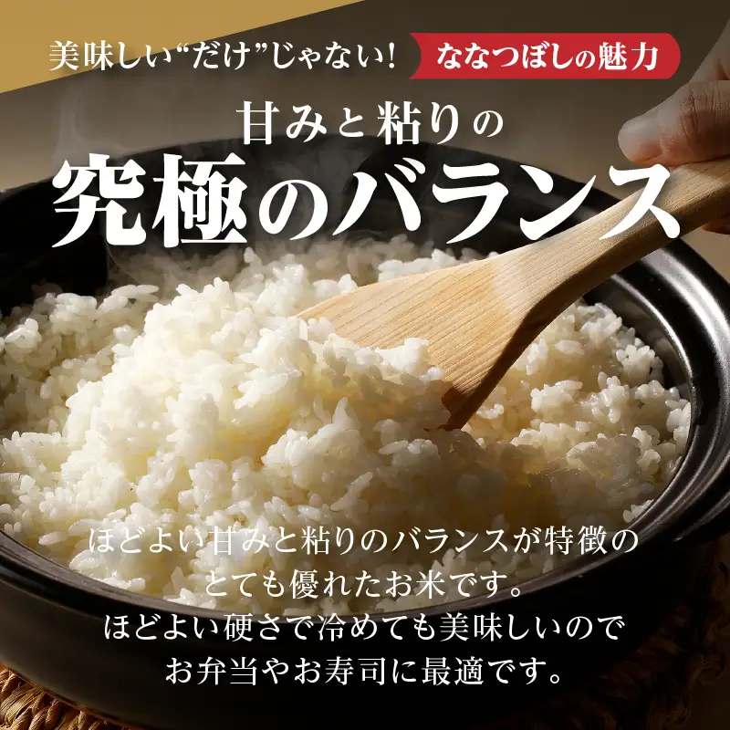 特A 北海道滝川産 ななつぼし 無洗米 10kg【R8年産】お米マイスター 新米 単一米 産地限定米 ブランド米 北海道米 北海道産 白米 精米 米 こめ コメ お米 ご飯 おにぎり 道産 送料無料 むせんまい 限定 贈答 お試し