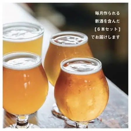 名水百選「清水の湧水」で造られたクラフトビール6本セット【配送不可地域：離島】【1186146】