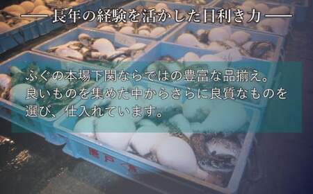 【※配送指定日必須】国産とらふぐ刺し身セット 冷蔵 約3人前 ふぐ AQ