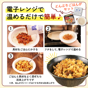 レンジで簡単！ごはん付き 4種類セット レトルト レトルト レトルト レトルト レトルト J87 