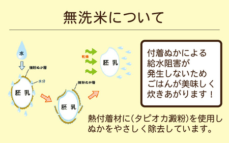 [051-a004] 無洗米  いちほまれ  5kg 