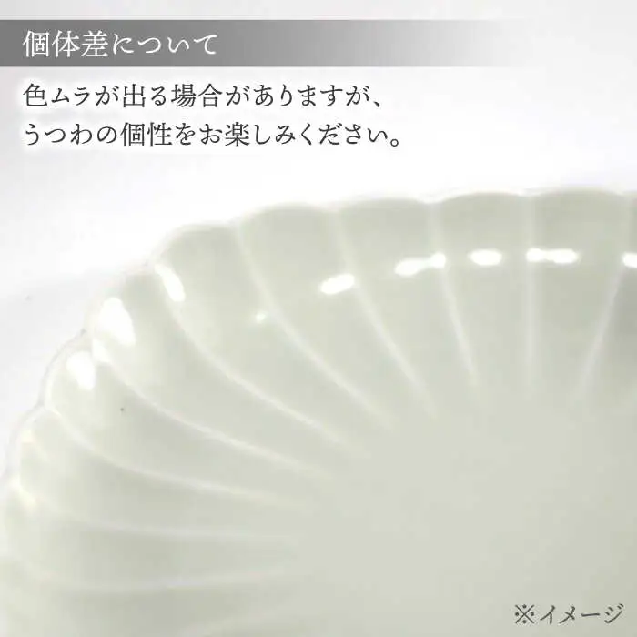 【波佐見焼】四つ菊 大皿 クリアー 1点【永泉】[MC89]