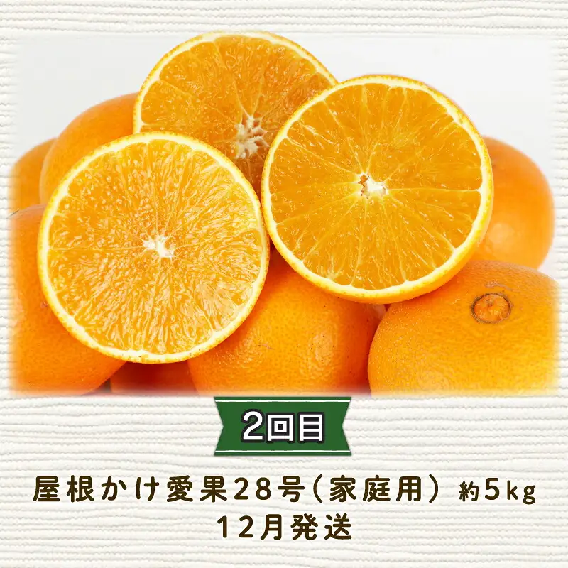 みかん定期便 全3回 陽だまりミカン 家庭用 みかん定期便 B045-050005