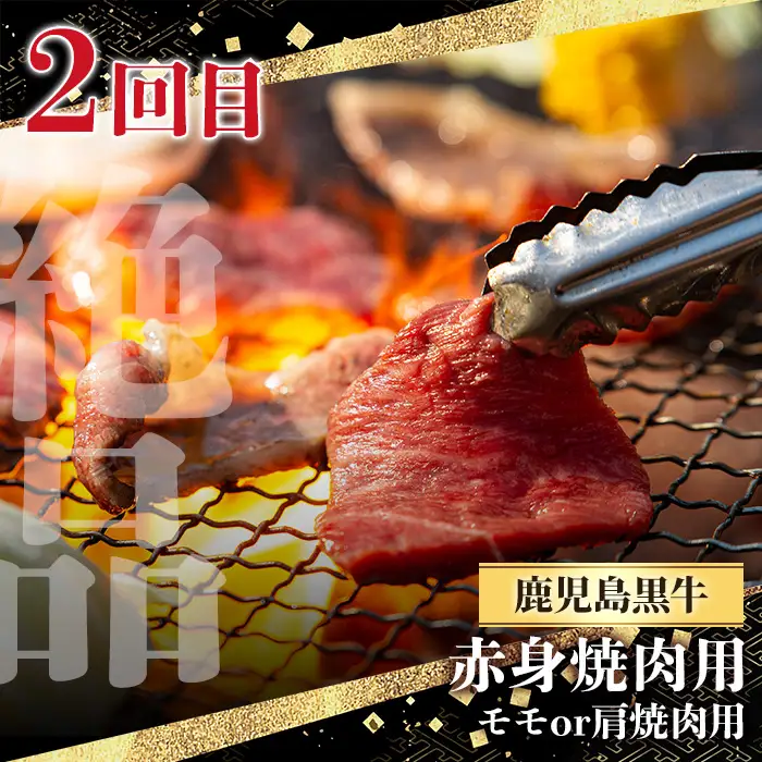 ＜定期便・全3回(連続)＞黒毛和牛の赤身牛肉コース(すき焼き、焼肉、ステーキ)  国産 九州産 鹿児島県産 牛肉 黒毛和牛 和牛 赤身 ステーキ 定期便 頒布会 毎月 すき焼き しゃぶしゃぶ 冷凍【さつま屋産業】_y443-B