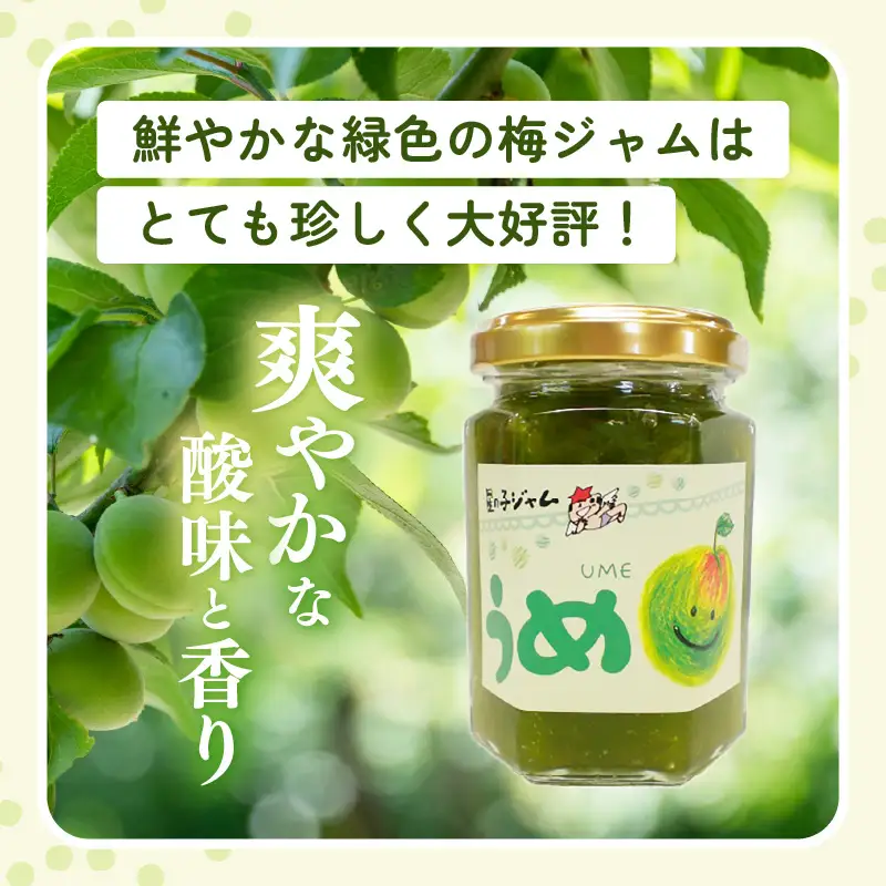 【福井県産】フルーツを使った ジャム 3種 計9個セット（梅ジャム3個 苺ジャム3個 いちじくジャム3個） [m03-a021]