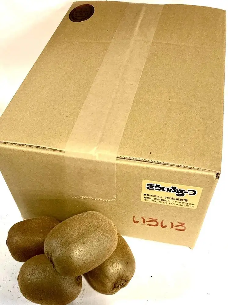 紀州かつらぎ山のキウイフルーツ約3kg［2027年1月下旬以降発送予定］［UT29］