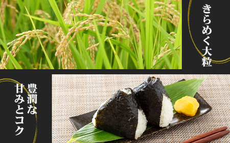 新潟産新之助 5kg《令和7年産》 【しんのすけ 農家直送 糸魚川 令和7年産 2025年産 米どころ新潟 米作りのプロ 地元農家 JA 自信作！ 美味しい 農家自慢 お米 白米 おにぎり お弁当 新潟県の新ブランド米】