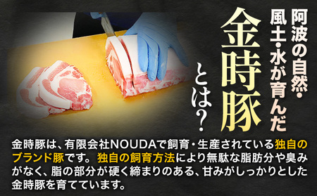 【3回定期】 阿波の金時豚切り落とし4.5kg 豚肉